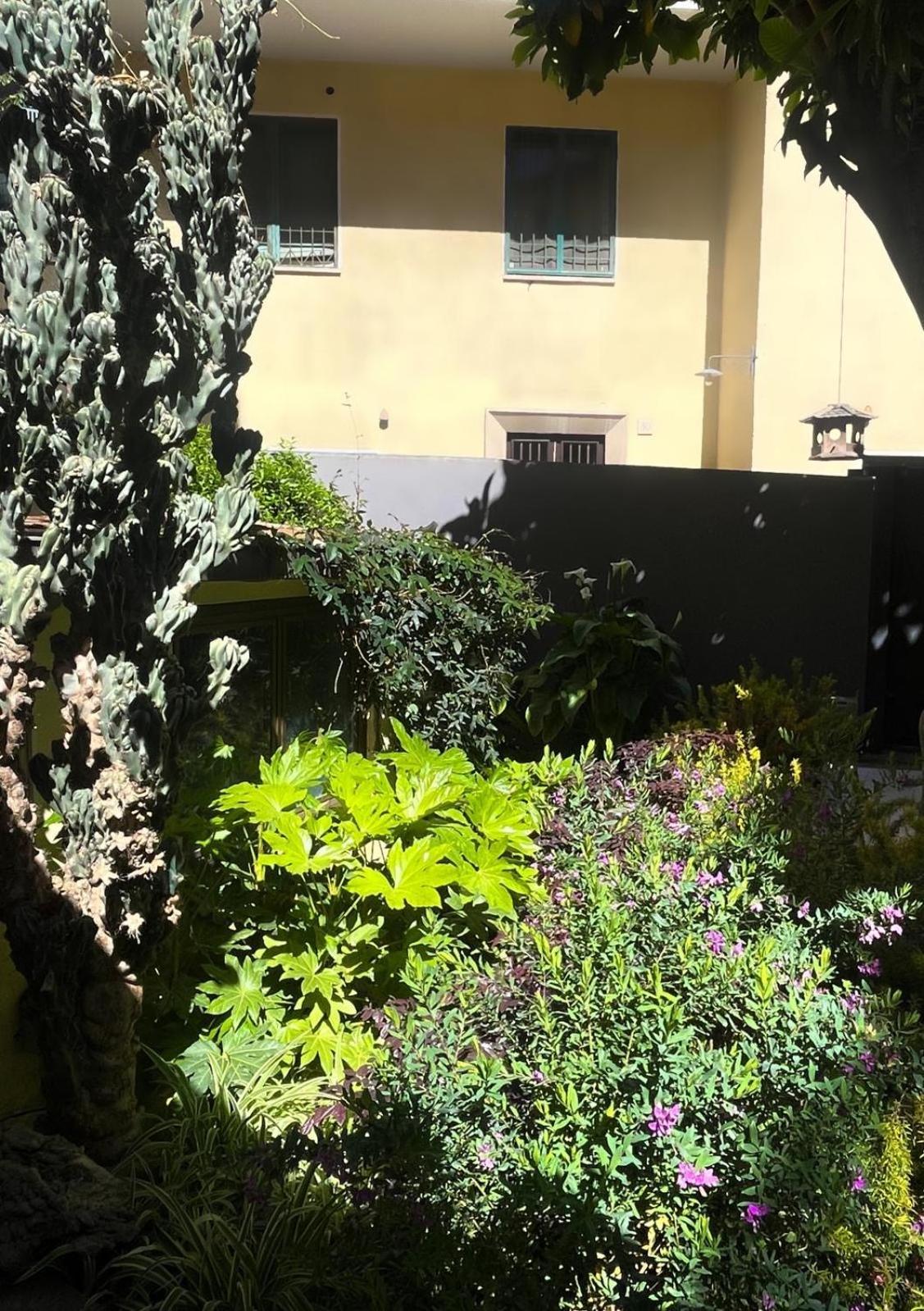 Loquat House Nel Giardino Segreto In Zona Vaticano Roma Ngoại thất bức ảnh