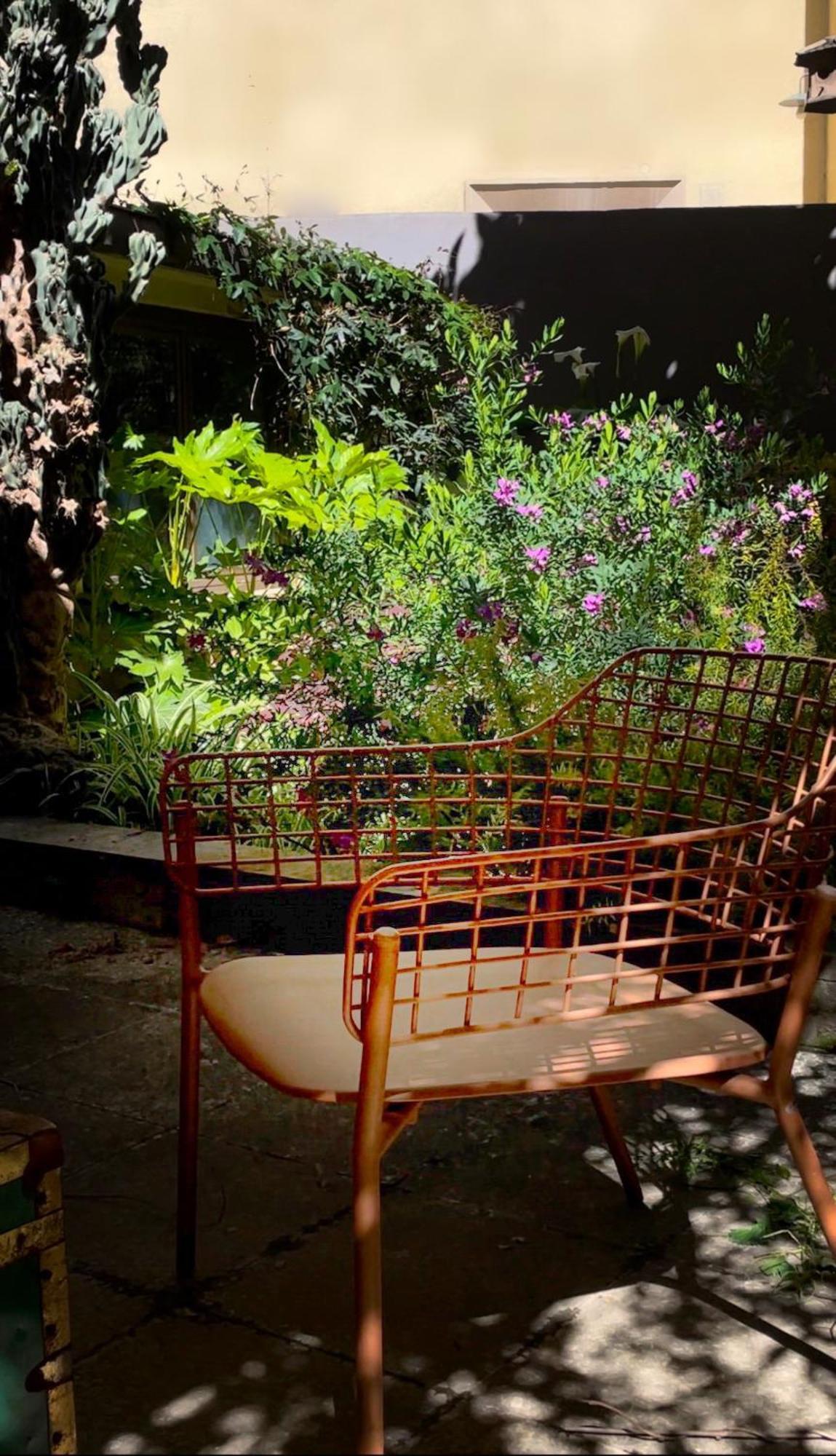 Loquat House Nel Giardino Segreto In Zona Vaticano Roma Ngoại thất bức ảnh
